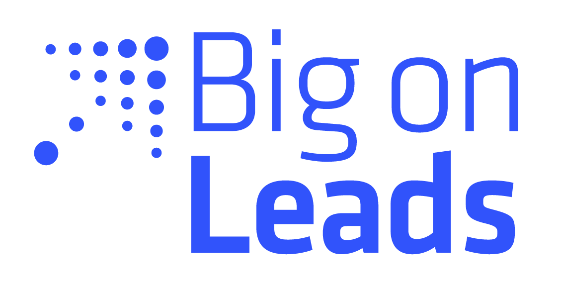 Big On Leads Grow Your Business With High Quality Leads